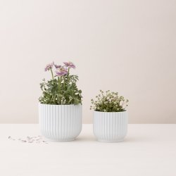 Lyngby Porceln Urtepotte - Hvid - Mellem
