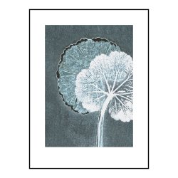 Pernille Folcarelli Geranium Teal 30x40 cm