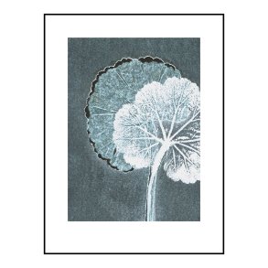 Pernille Folcarelli Geranium Teal 30x40 cm