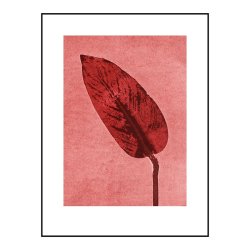 Pernille Folcarelli Calathea Brick Red 30x40 cm