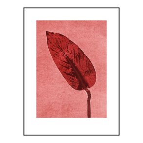 Pernille Folcarelli Calathea Brick Red 30x40 cm