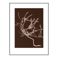 Pernille Folcarelli Heather Chocolate 30x40 cm