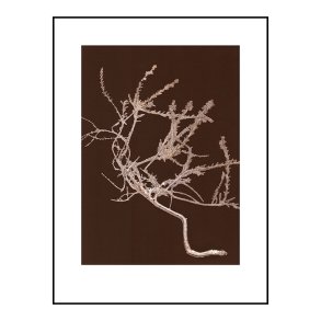 Pernille Folcarelli Heather Chocolate 30x40 cm