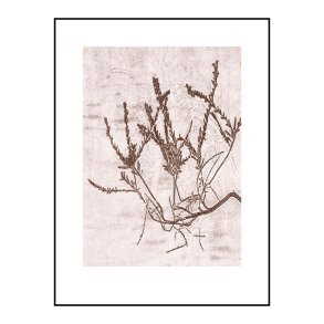 Pernille Folcarelli Heather Cacao 30x40 cm