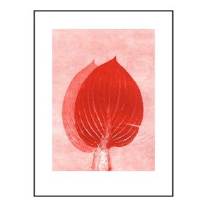 Pernille Folcarelli Hosta Scarlet 30x40 cm