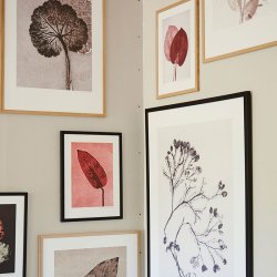 Pernille Folcarelli Hosta Bordeaux 30x40 cm