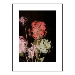 Pernille Folcarelli Flower Bouquet Dark 30x40 cm