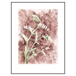 Pernille Folcarelli Vicia Earth 30x40 cm