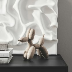 Boyhood Ballon D'og - Eg Natur - Lille