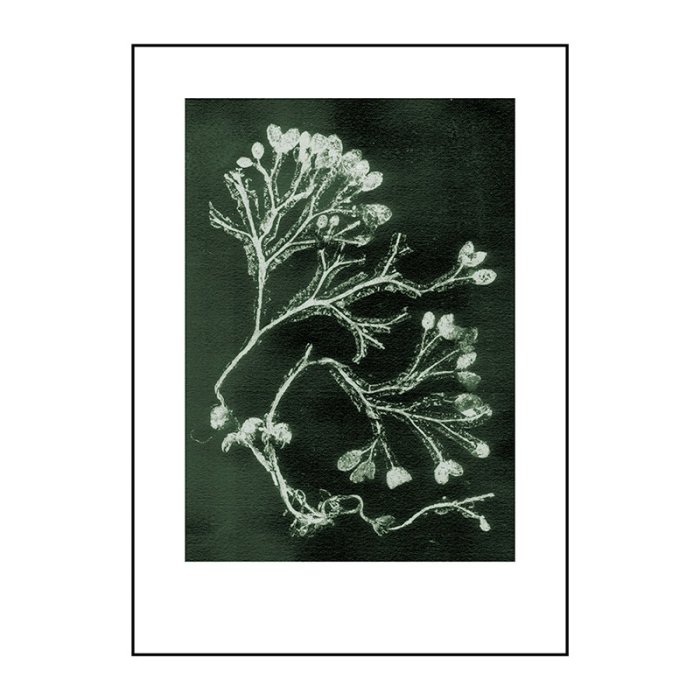Pernille Folcarelli Seaweed Dark Olive 50x70 cm