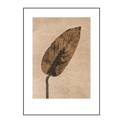 Pernille Folcarelli Calathea Caramel 50x70 cm