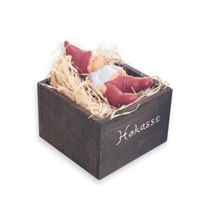 Klarborg Nisse Sebastian i hkasse