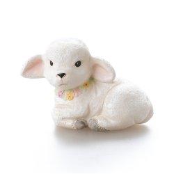 Klarborg Lam Lambert