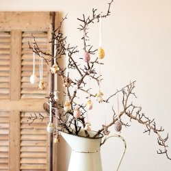 Klarborg Forrs Dyrebrn 2021