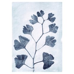 Pernille Folcarelli Ginkgo Ink Tapet