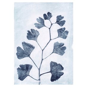 Pernille Folcarelli Ginkgo Ink Tapet