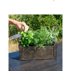 Trademark Living Joan Zinkkasse