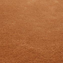 Ferm Living Stille Tufted Rug 200x300 Toffee