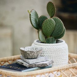 Nordal Aoba Krukke, L i Hvid Cement