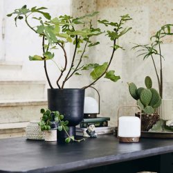 Nordal Galoa Urtepotte S, Antracite