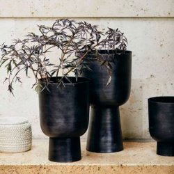 Nordal Galoa Urtepotte, L anntracite