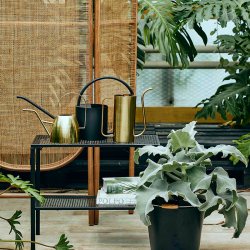 Nordal - Elm Vandkande - Messing Finish