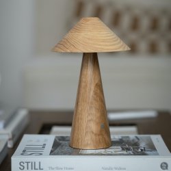 Applicata LUCAS B�rbar Lampe Lakeret Eg