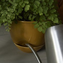Audo Copenhagen Hydrous Planter Urtepotte 12 Ochre