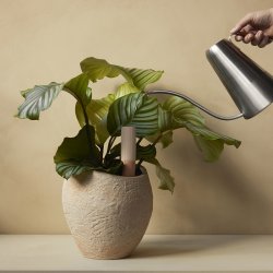 Audo Copenhagen Hydrous Vandingsspyd 2 stk. H26