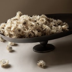 Audo Copenhagen Pavot Centerpiece