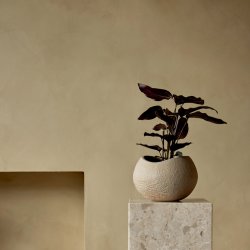 Audo Copenhagen Plantas Planter Urtepotte H32 Ivory