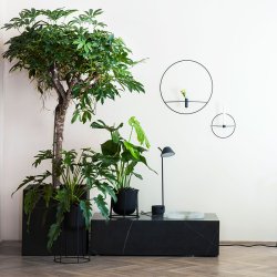 Audo Copenhagen Plinth Low Nero Marquina