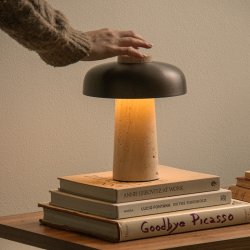 Audo Copenhagen Reverse Brbar Bordlampe