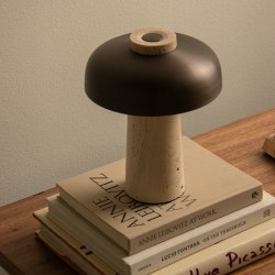 Audo Copenhagen Reverse Brbar Bordlampe