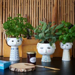 Bjrn Wiinblad Eva Vase - Bl