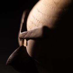 Boyhood x Angry Birds Red