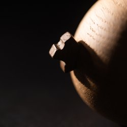 Boyhood x Angry Birds Red