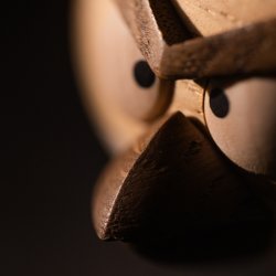 Boyhood x Angry Birds Red