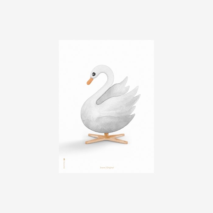 Brainchild Plakat Akvarel Svane/Hvid Baggrund A5