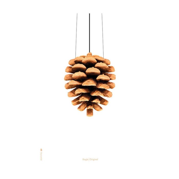 Brainchild Plakat - Kogle/Hvid Baggrund - 70x100 cm