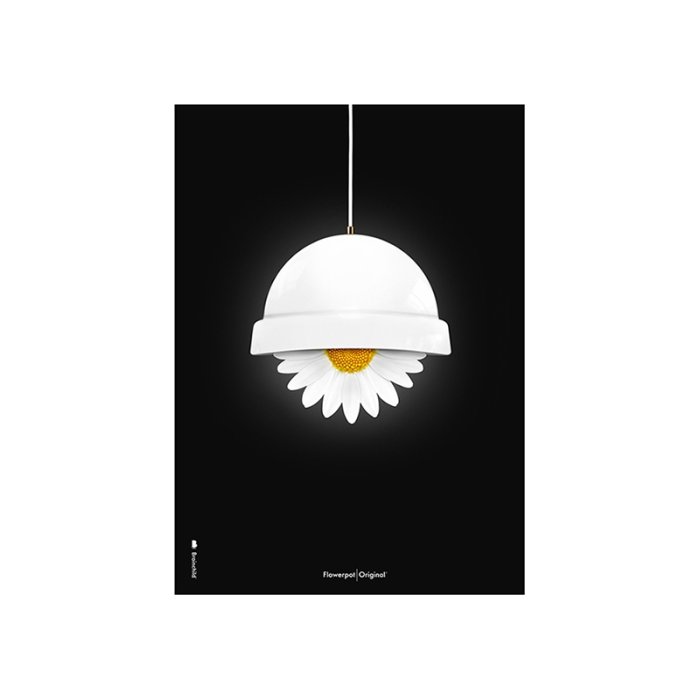 Brainchild Plakat - Hvid Flowerpot/Sort Baggrund - 30x40 cm