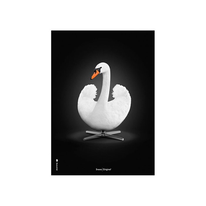 Brainchild Plakat - Hvid Svane/Sort Baggrund - 30x40 cm