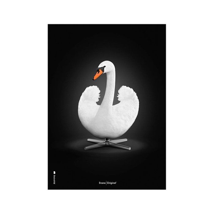 Brainchild Plakat - Hvid Svane/Sort Baggrund - 50x70 cm