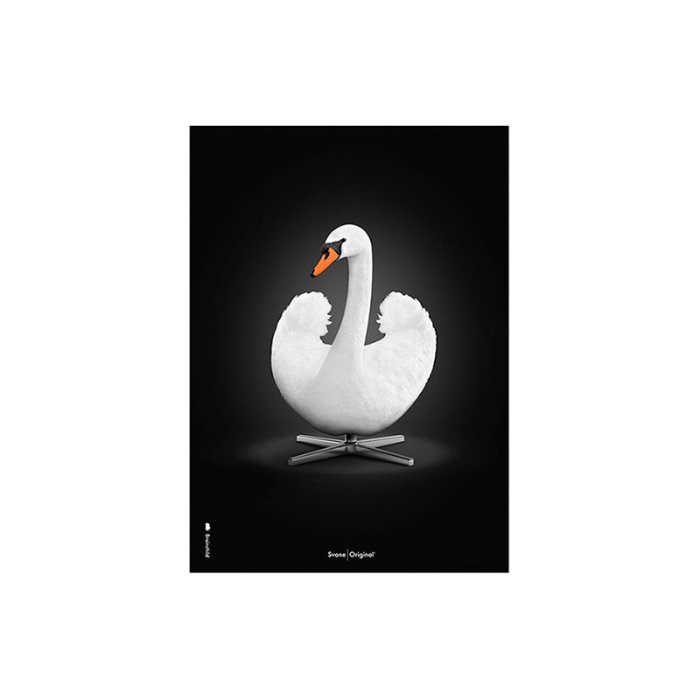 Brainchild Plakat - Hvid Svane/Sort Baggrund - A5