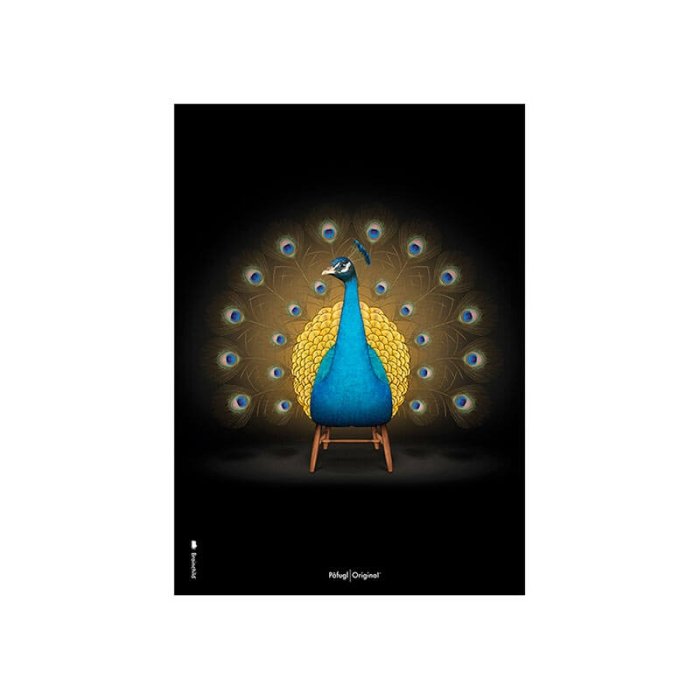 Brainchild Plakat - Pfugl/Sort Baggrund - 30x40 cm