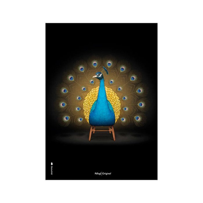 Brainchild Plakat - Pfugl/Sort Baggrund - 50x70 cm