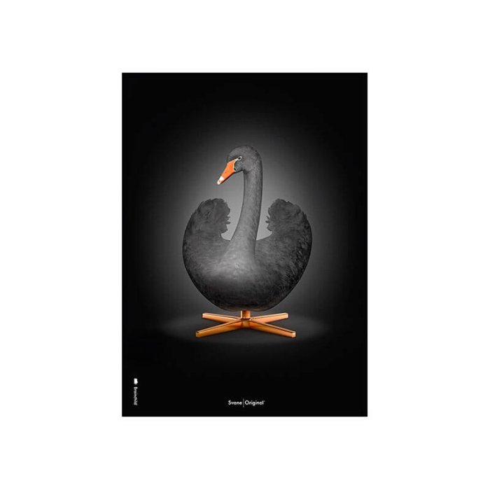 Brainchild Plakat - Sort Svane/Sort Baggrund - 30x40 cm