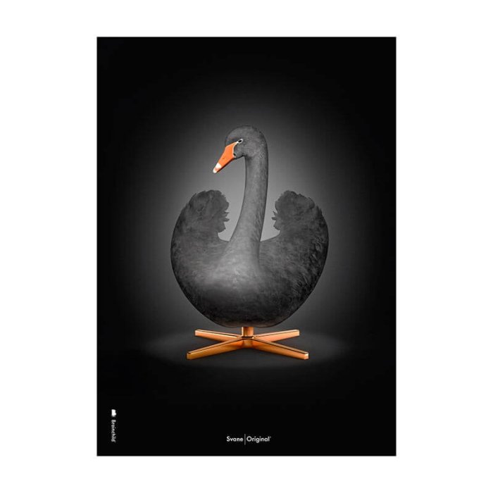 Brainchild Plakat - Sort Svane/Sort Baggrund - 70x100 cm