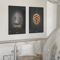 Brainchild Plakat - Sort Svane/Sort Baggrund - 50x70 cm