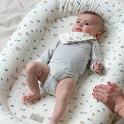 Cam Cam Copenhagen Babynest Blueberries